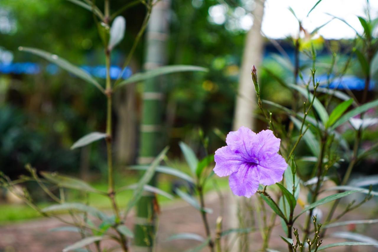 Apartamento Smiley Frog Kanchanaburi Exterior foto